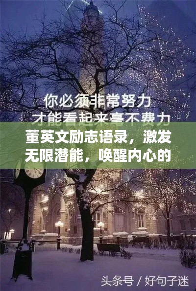 董英文励志语录，激发无限潜能，唤醒内心的力量！