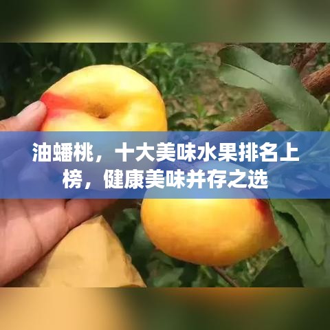 油蟠桃，十大美味水果排名上榜，健康美味并存之选