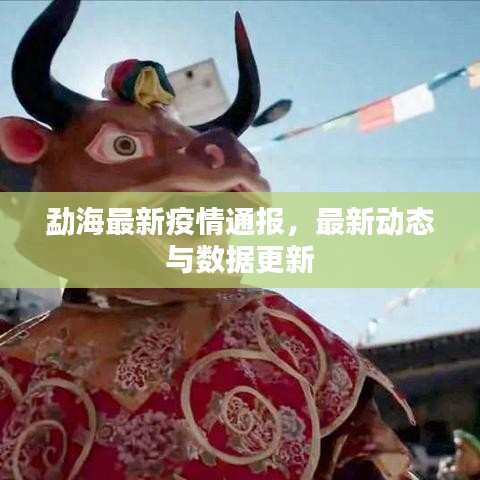 勐海最新疫情通报，最新动态与数据更新