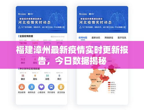 福建漳州最新疫情实时更新报告，今日数据揭秘