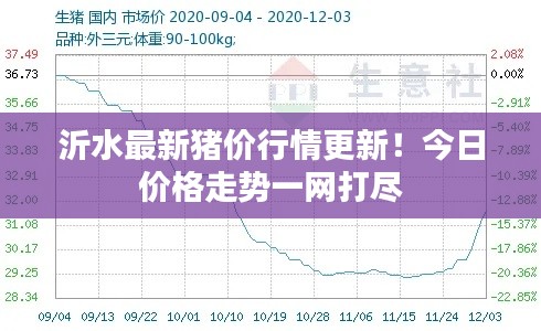 沂水最新猪价行情更新！今日价格走势一网打尽