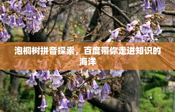 泡桐树拼音探索，百度带你走进知识的海洋