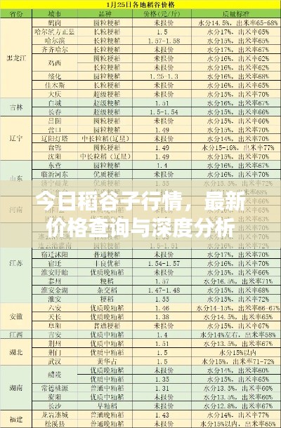 今日稻谷子行情，最新价格查询与深度分析