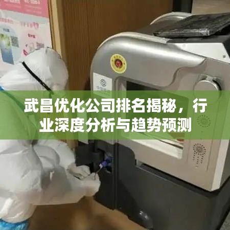 武昌优化公司排名揭秘，行业深度分析与趋势预测