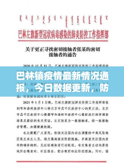 巴林镇疫情最新情况通报，今日数据更新，防控进展揭秘