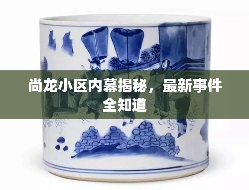 尚龙小区内幕揭秘，最新事件全知道