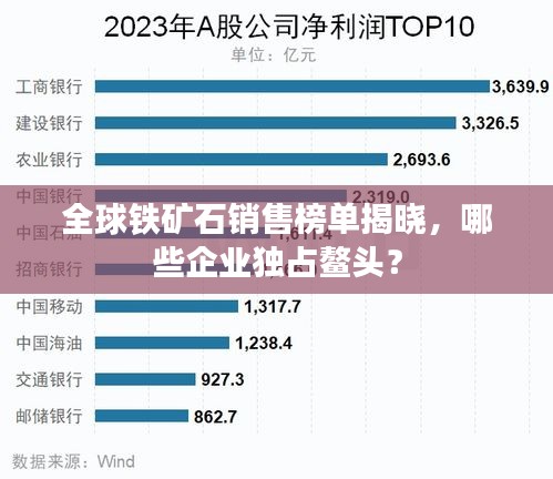全球铁矿石销售榜单揭晓，哪些企业独占鳌头？