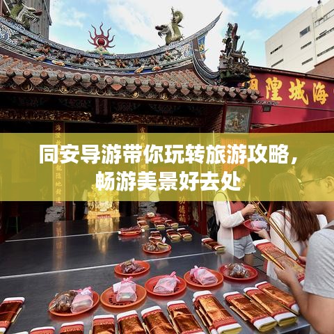 同安导游带你玩转旅游攻略，畅游美景好去处