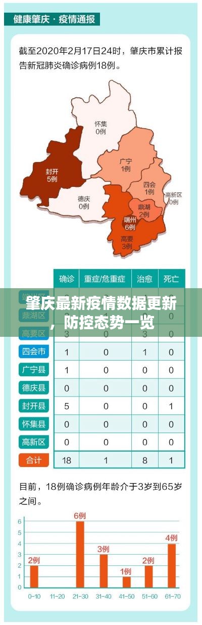 肇庆最新疫情数据更新，防控态势一览