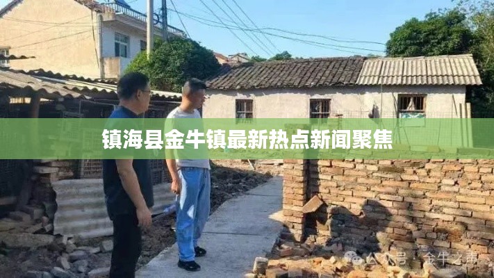 镇海县金牛镇最新热点新闻聚焦