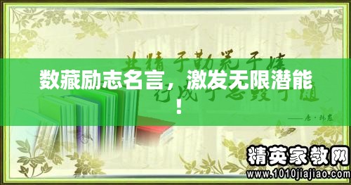 数藏励志名言，激发无限潜能！