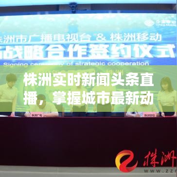 株洲实时新闻头条直播，掌握城市最新动态