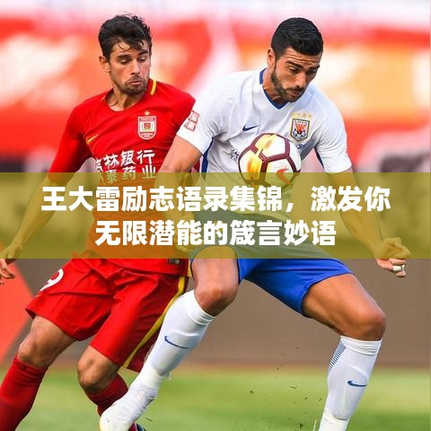 王大雷励志语录集锦，激发你无限潜能的箴言妙语