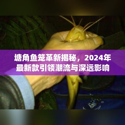 塘角鱼笼革新揭秘，2024年最新款引领潮流与深远影响