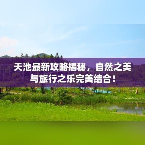 天池最新攻略揭秘，自然之美与旅行之乐完美结合！