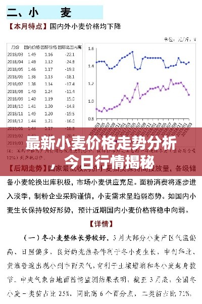 最新小麦价格走势分析，今日行情揭秘