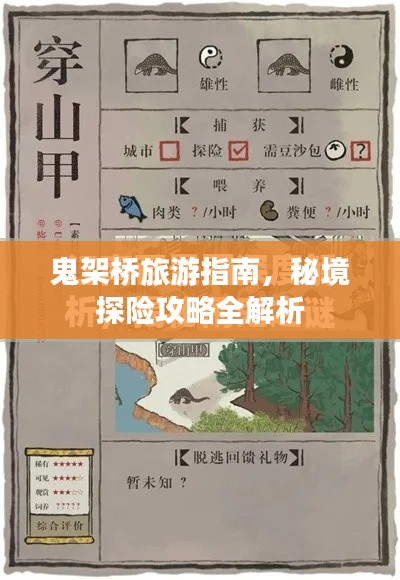 鬼架桥旅游指南，秘境探险攻略全解析