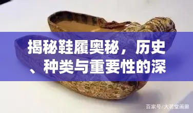揭秘鞋履奥秘，历史、种类与重要性的深度解析