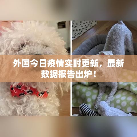 外国今日疫情实时更新，最新数据报告出炉！